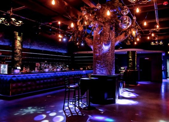 Element Bistro Bar and Lounge