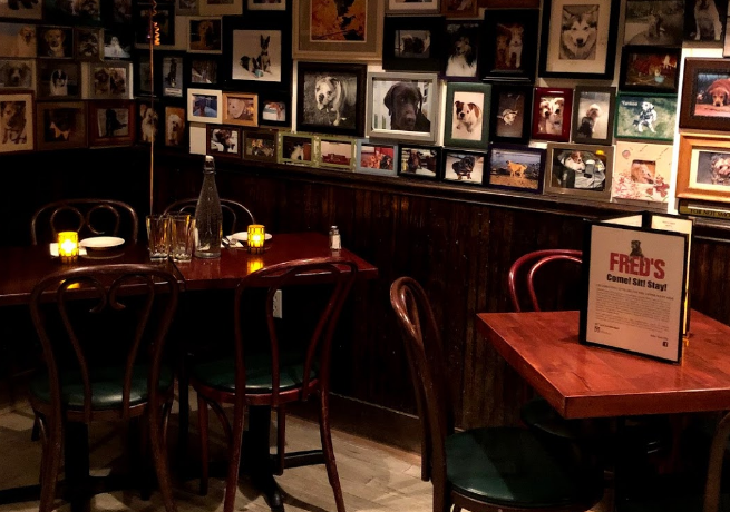 Fred’s
