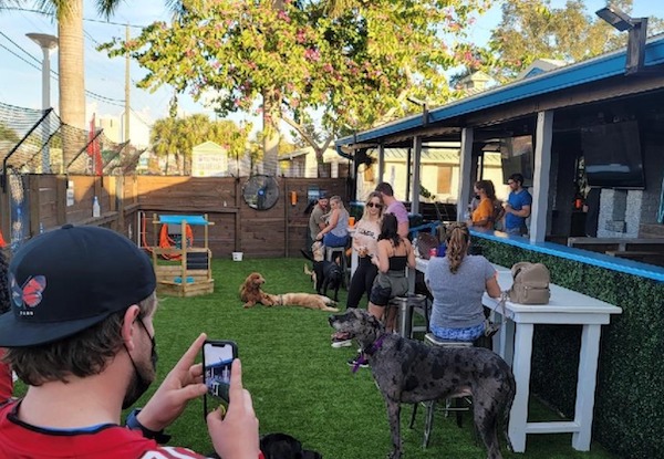 Pups Pub