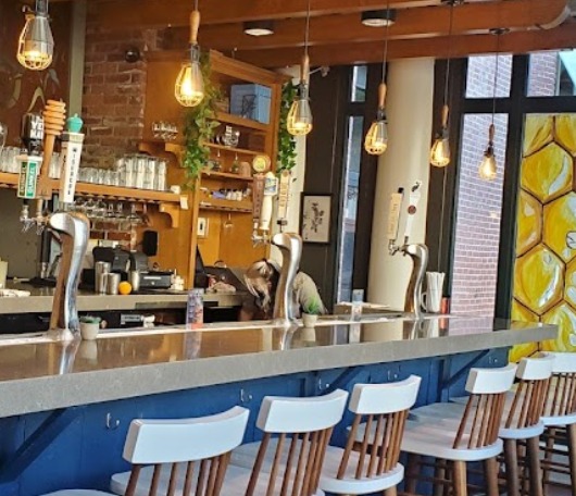 Tupelo Honey